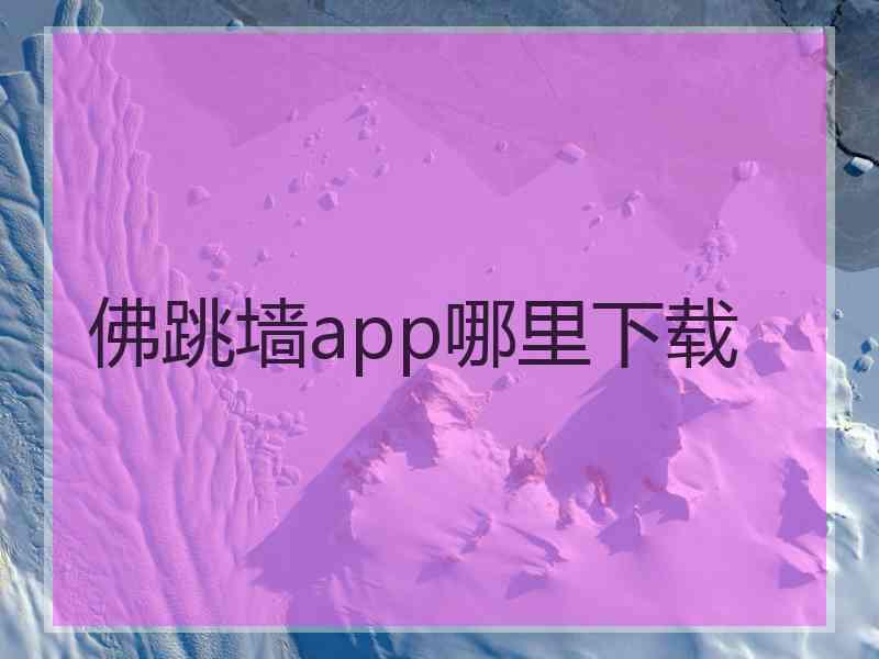 佛跳墙app哪里下载