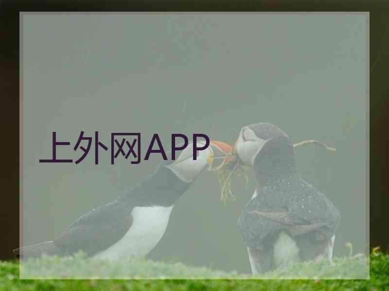 上外网APP