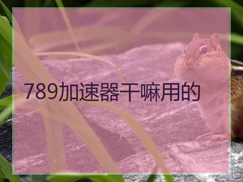 789加速器干嘛用的