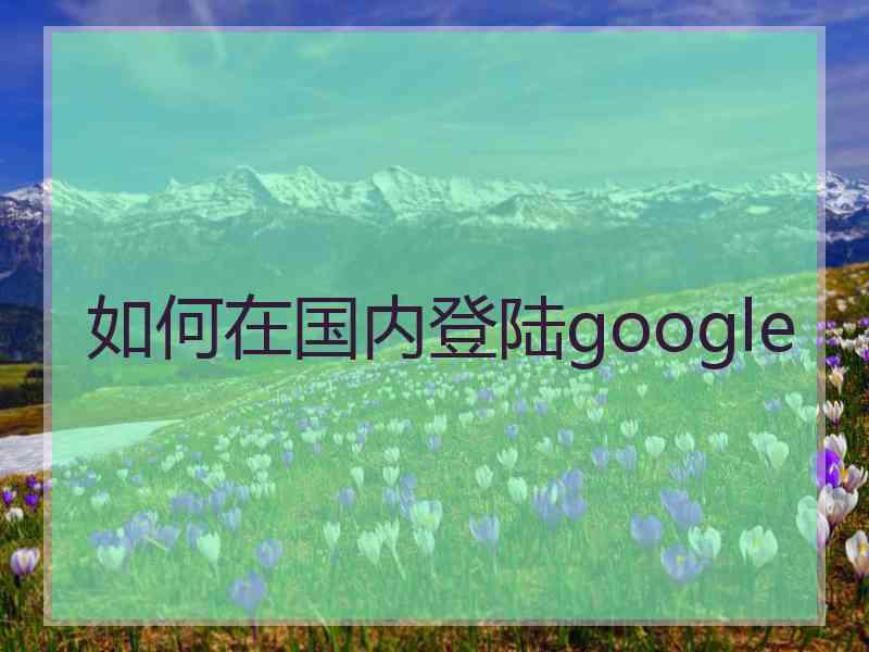 如何在国内登陆google