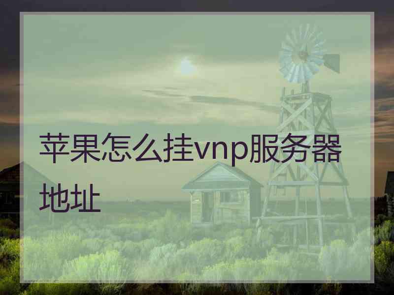 苹果怎么挂vnp服务器地址