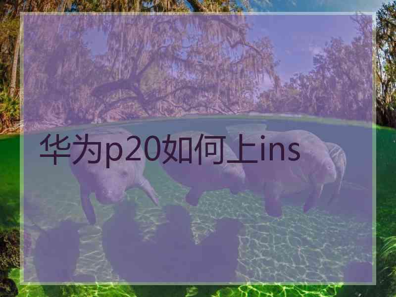 华为p20如何上ins