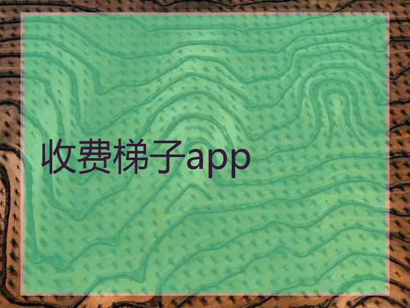 收费梯子app