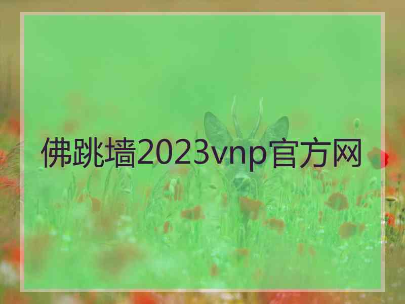 佛跳墙2023vnp官方网