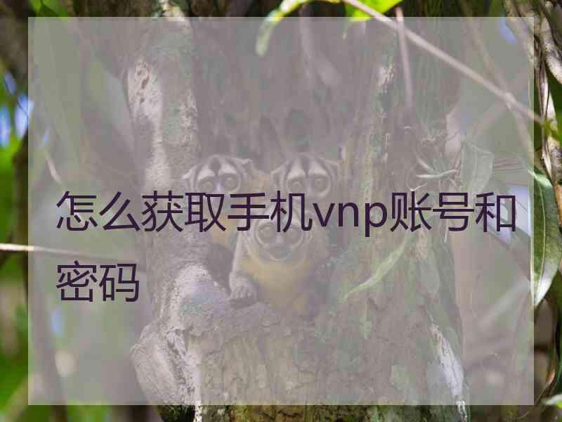 怎么获取手机vnp账号和密码