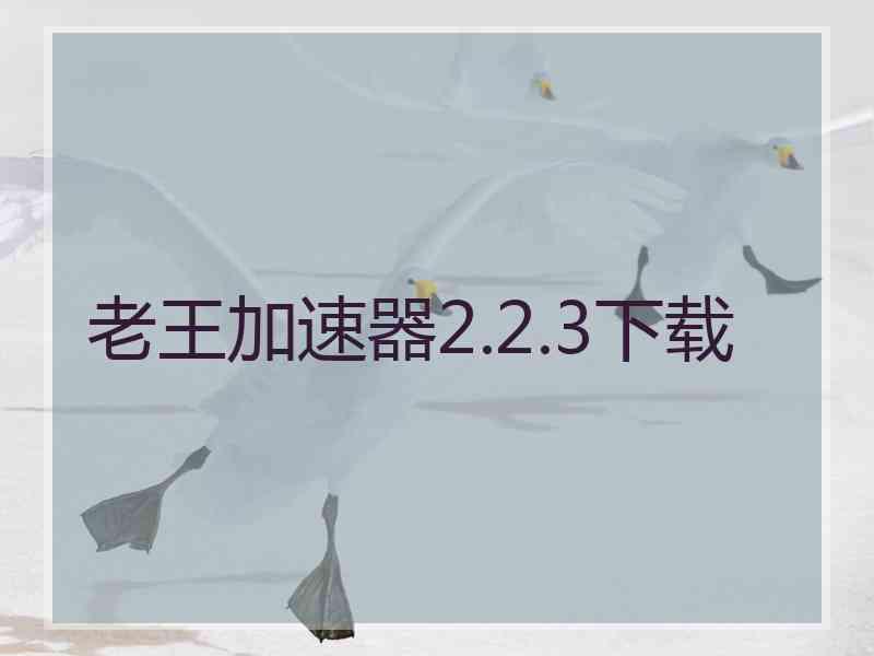 老王加速器2.2.3下载