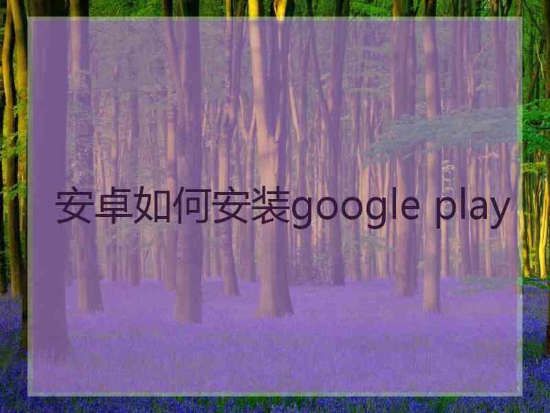 安卓如何安装google play