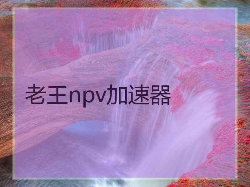 老王npv加速器