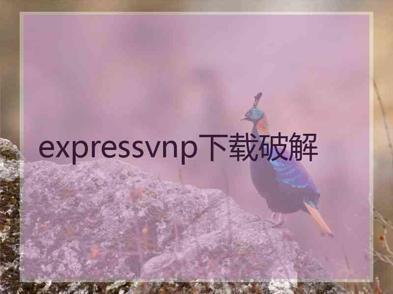 expressvnp下载破解