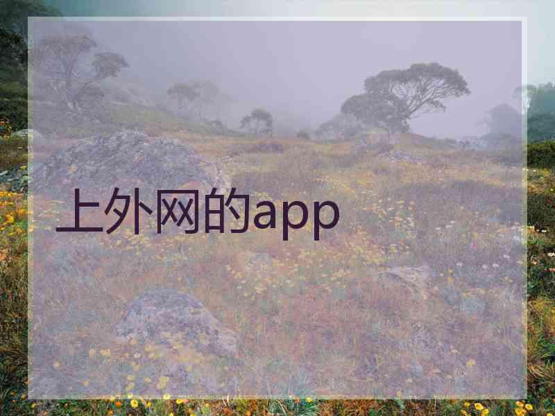 上外网的app