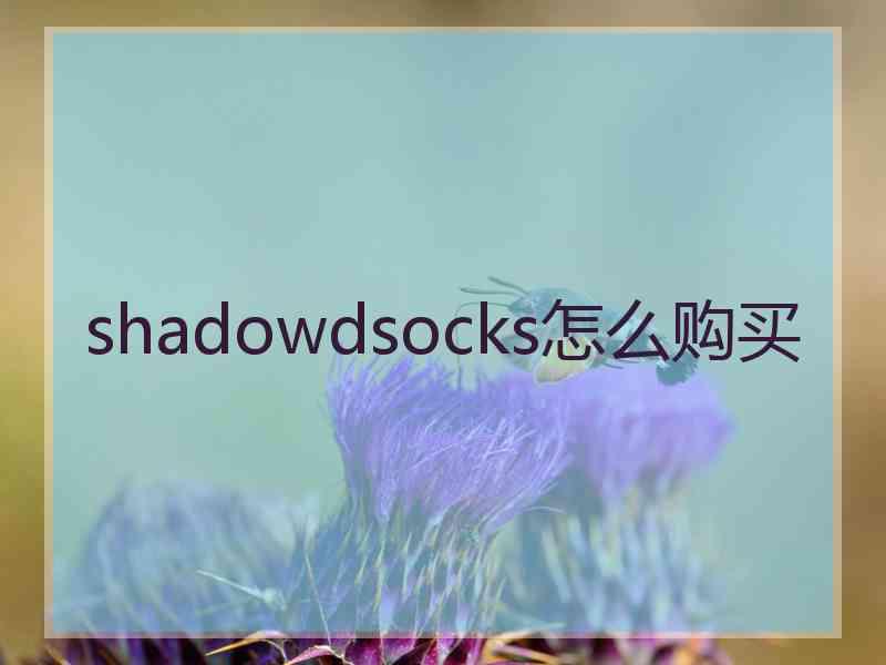 shadowdsocks怎么购买