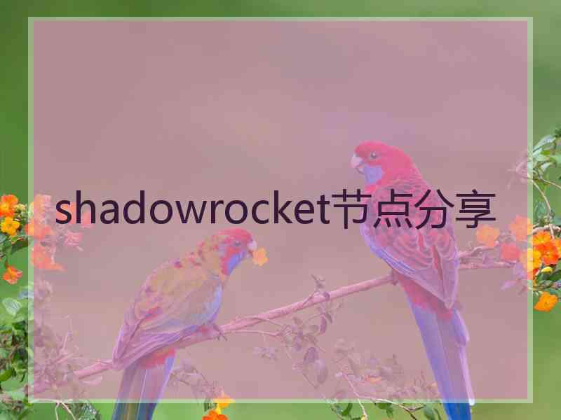 shadowrocket节点分享