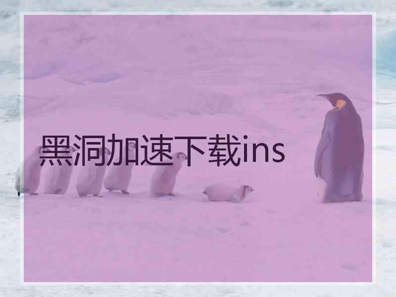 黑洞加速下载ins