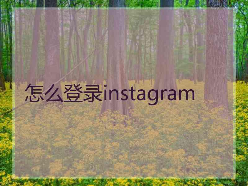 怎么登录instagram