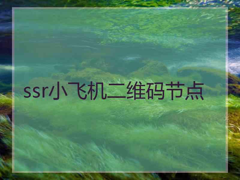 ssr小飞机二维码节点