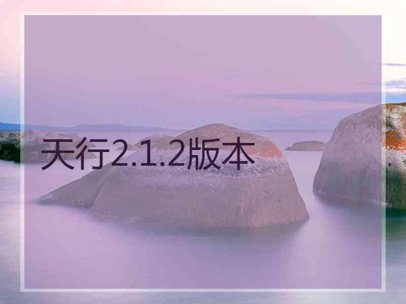 天行2.1.2版本