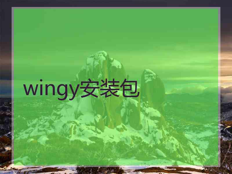 wingy安装包