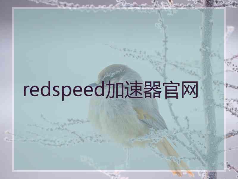 redspeed加速器官网