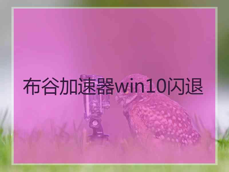 布谷加速器win10闪退