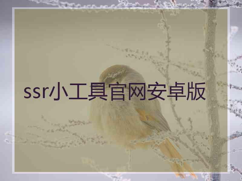 ssr小工具官网安卓版