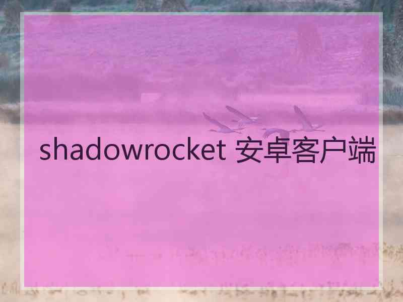 shadowrocket 安卓客户端