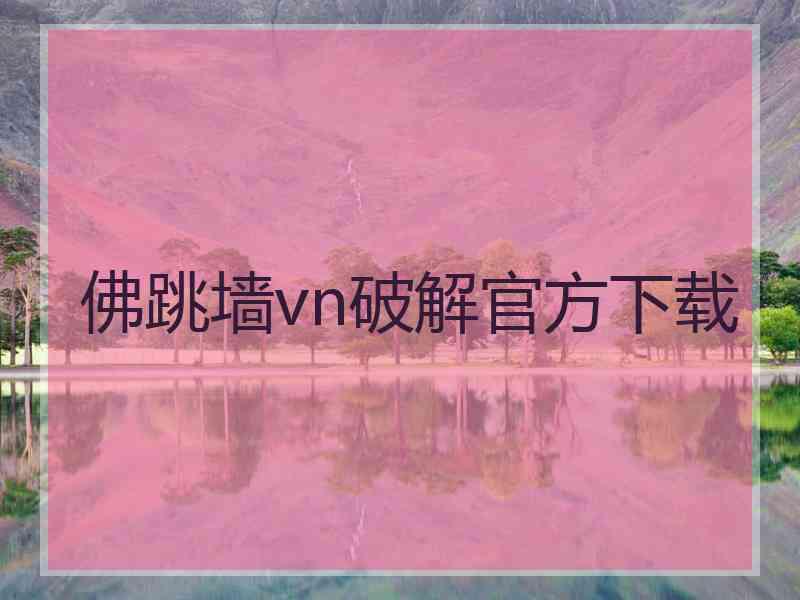 佛跳墙vn破解官方下载