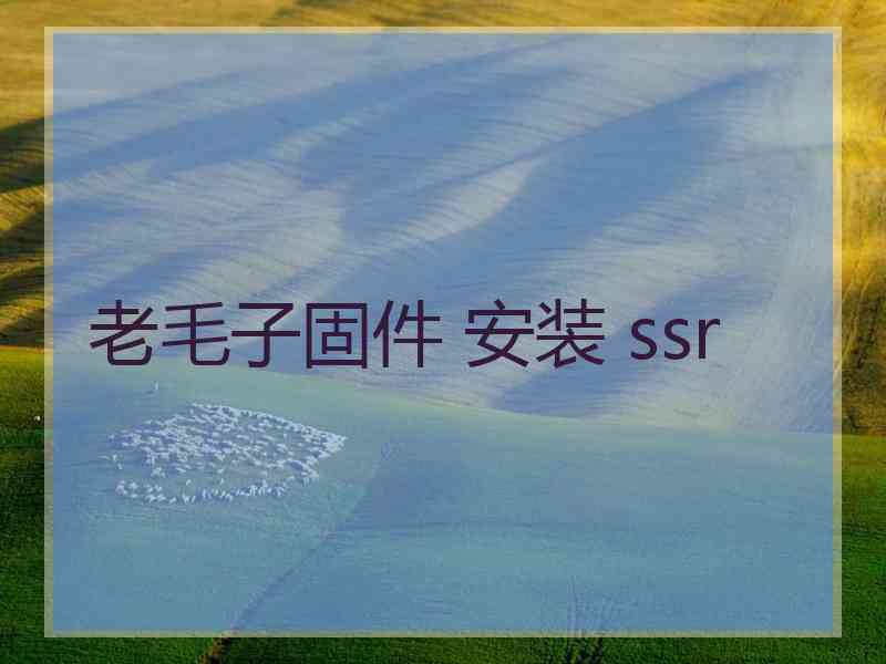 老毛子固件 安装 ssr