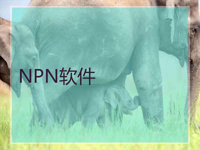 NPN软件