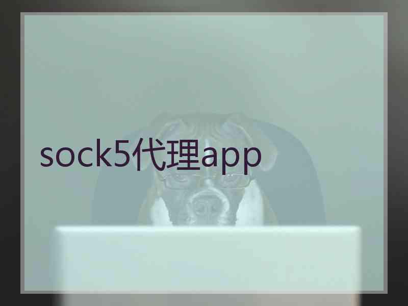 sock5代理app